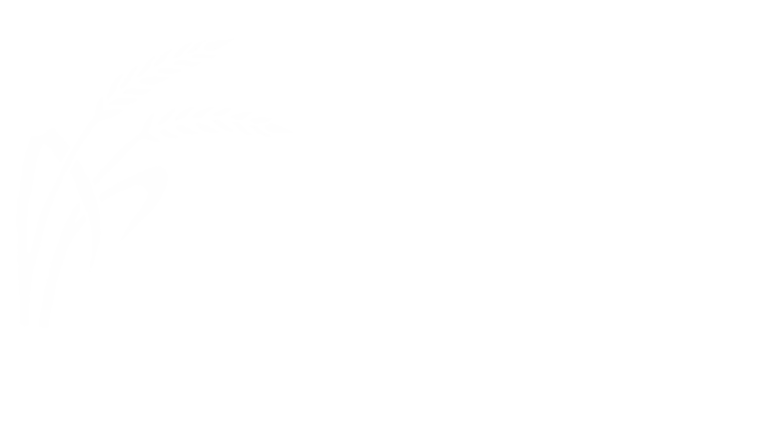 Kleeschulte Agrartechnik